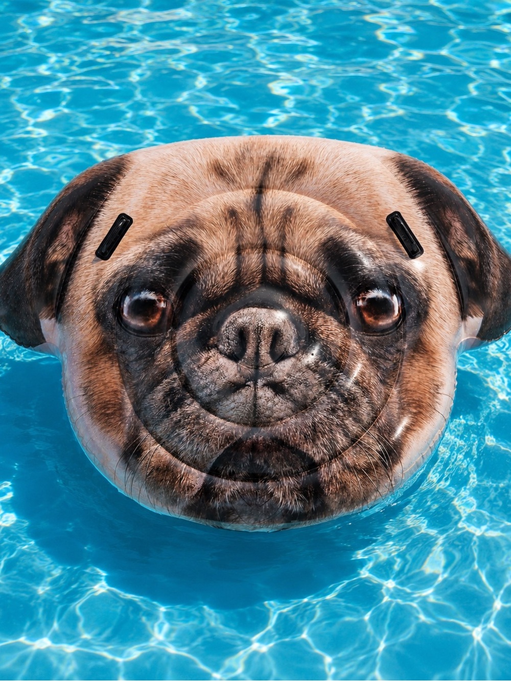 🌊Intex Pug Island Inflatable Pool Float - Picture 5 of 5